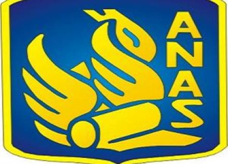 Anas Logo