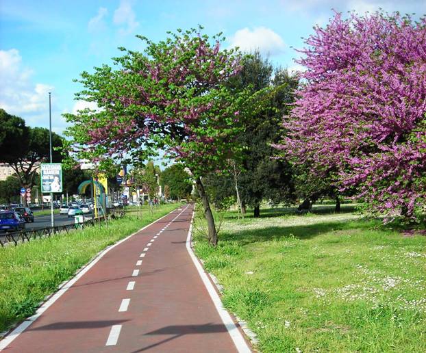 Municipio XIV. Juan Colabello: “La solidarietà non è misericordia. Sgomberare subito insediamenti del Parco Lineare”