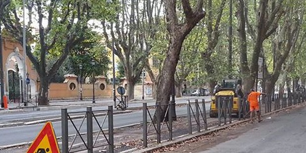 santonocito