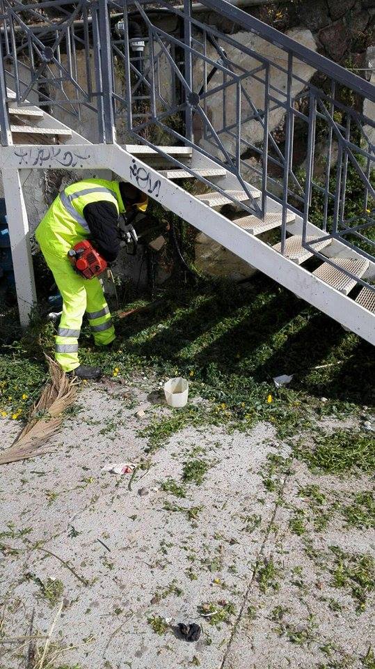 13014921_10209196068728664_354451258_n (1)