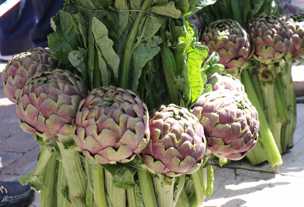 Sagra del Carciofo di Ladispoli 2019: ecco le novità