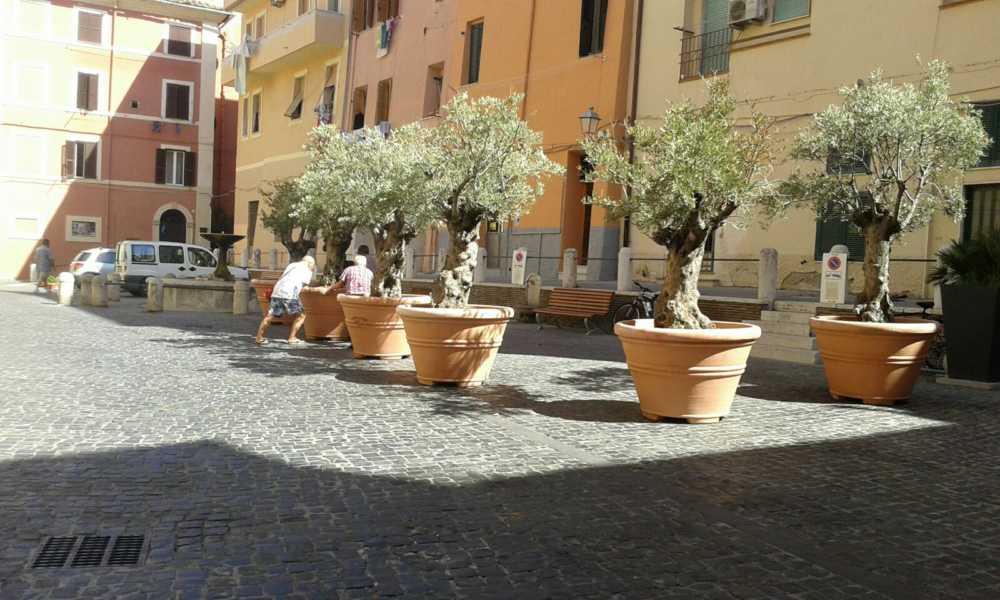 WhatsApp Image 2016-08-08 at 10.59.03