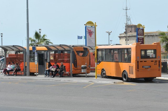 BUS ARGO tpl civitavecchia