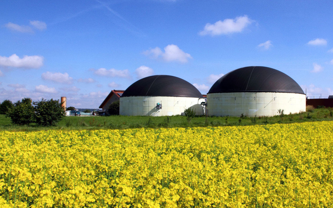 biogas
