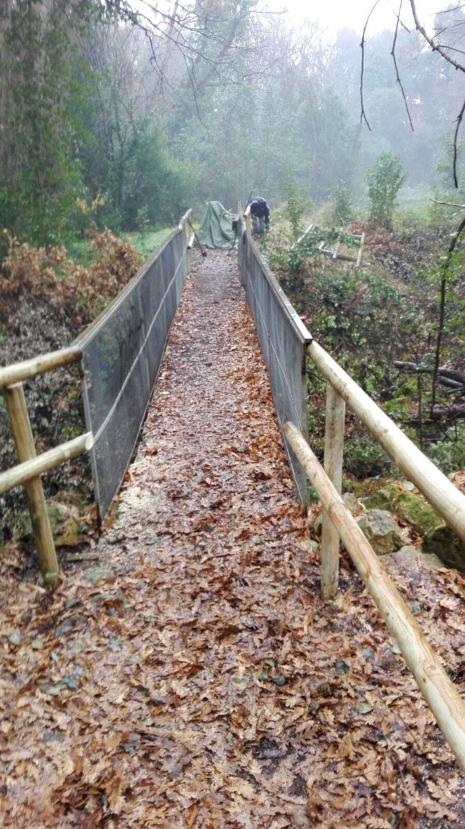 Domenica a Valcanneto c’è Conosciamo il Nostro Bosco