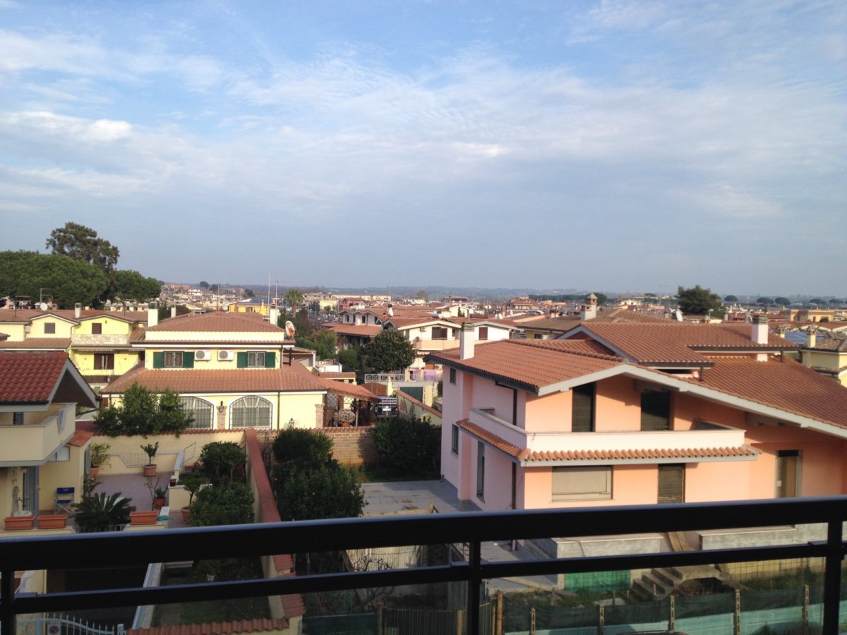 Ladispoli, aghi di pino sui tombini al Cerreto: situazione preoccupante