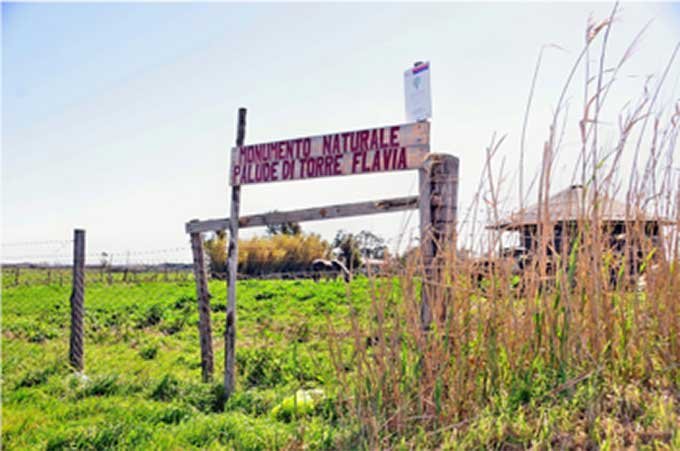torre-flavia-monumento