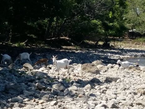habitat lago di bracciano