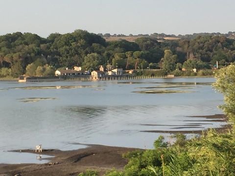 lago di bracciano