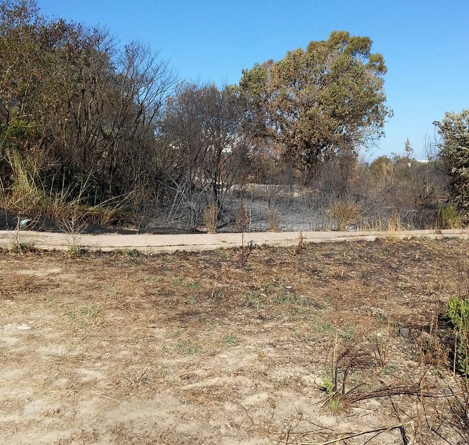 39eddb3d-2ed0-4864-9934-551c5956e1d0