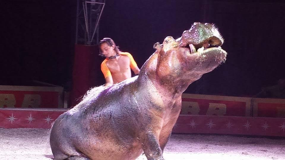 CIRCO