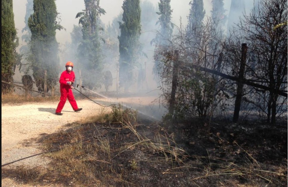 Schermata 2017-07-06 alle 12.10.43