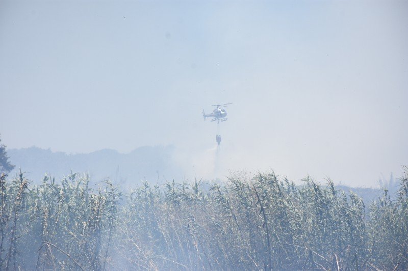 incendio Pescia Romana