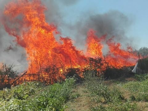 incendio civitavecchia 5