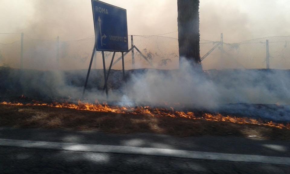 incendio palo foto Francesca Carlomagno