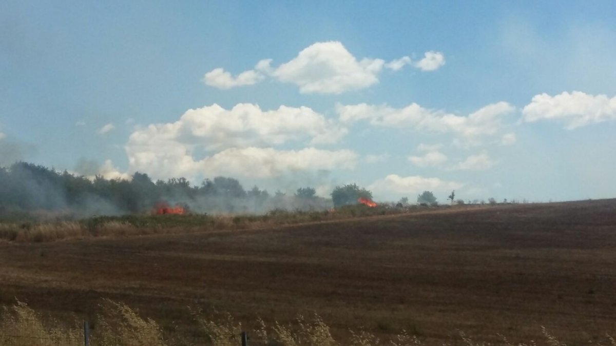 photo5967608624454936874