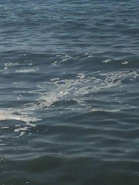 schiuma a mare ladispoli 3