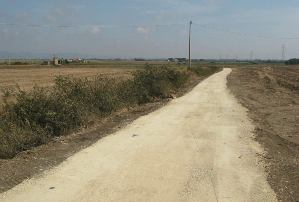 Tarquinia, l’Università Agraria risistema la strada in località Vallilarda