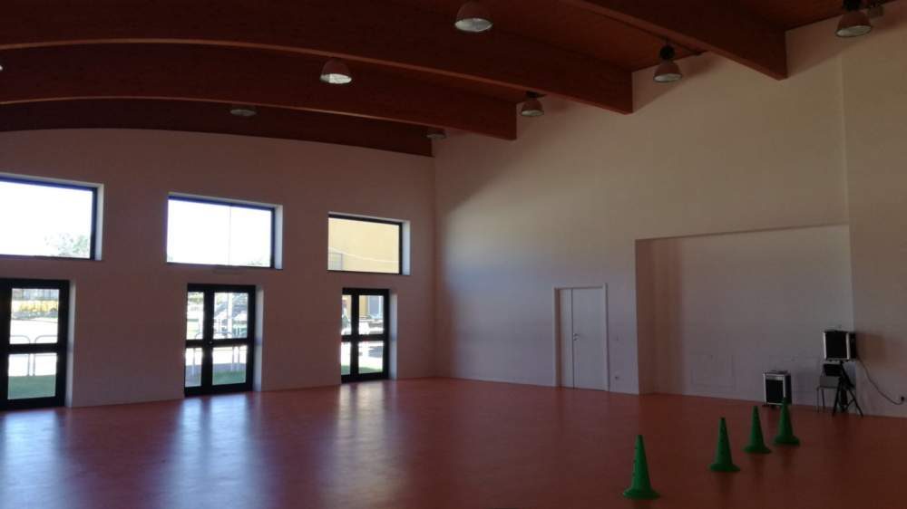 cropped-IMG_3906.jpg