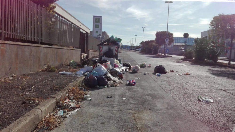 rifiuti civitavecchia