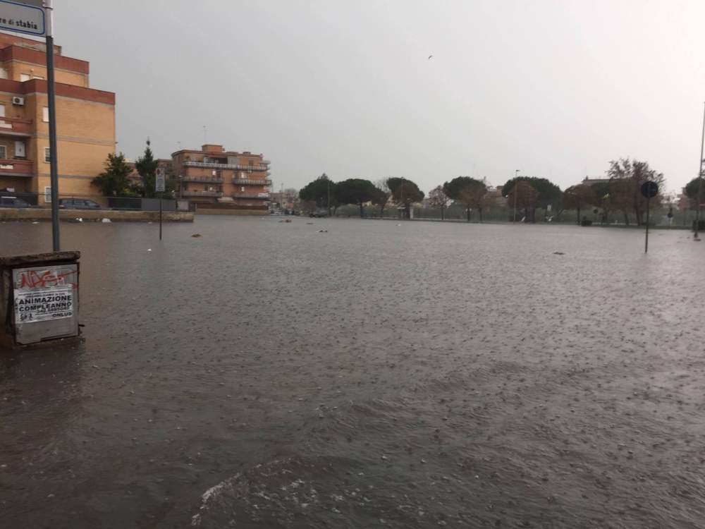 23336275_10213130489890959_1367471335_o