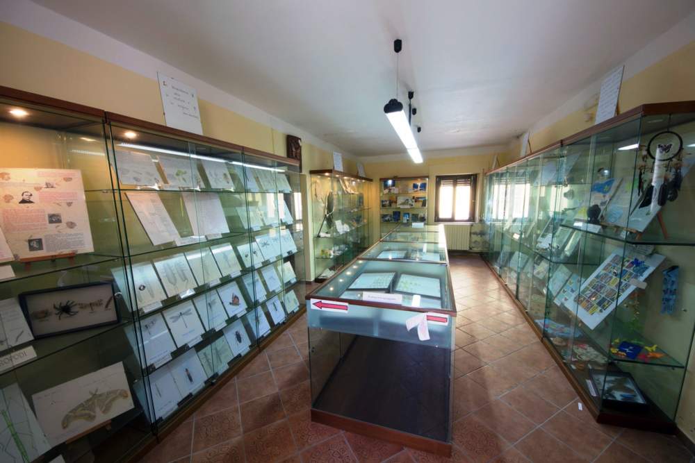Museo x Ladispoli (San Severino Lucano 1)