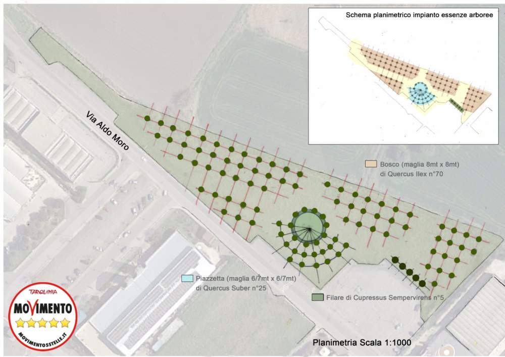 progetto m5starquinia-alberi per la vita