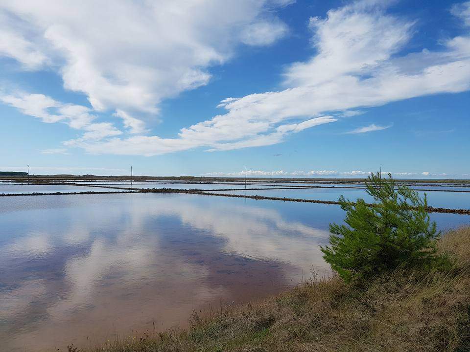 saline tarquinia 1 saline tarquinia 1