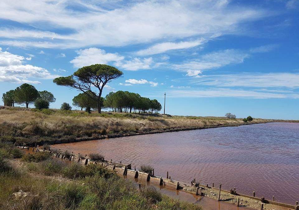Alla Fiera di Tarquinia anche il workshop sulla sostenibilità agricola