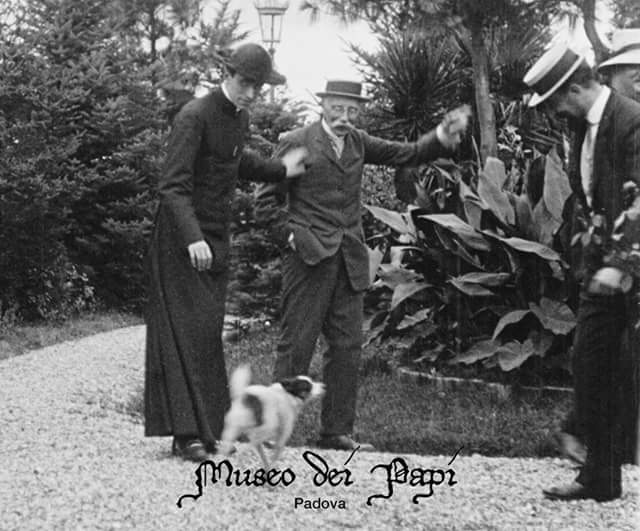 Pio XII Villa Elisa Santa Marinella