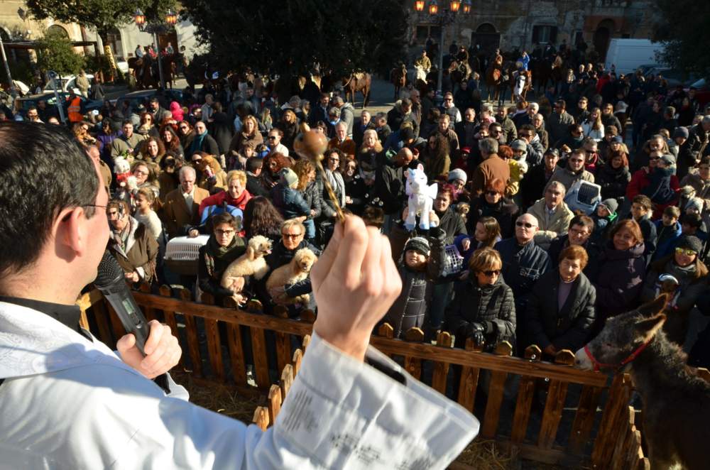 sant’antonio_abate_montalto