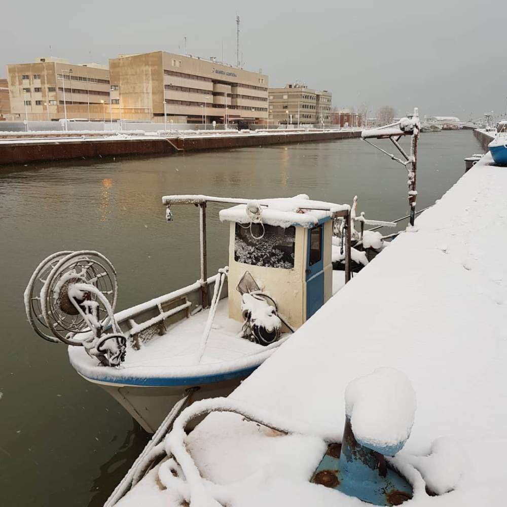 neve fiumicino darsena