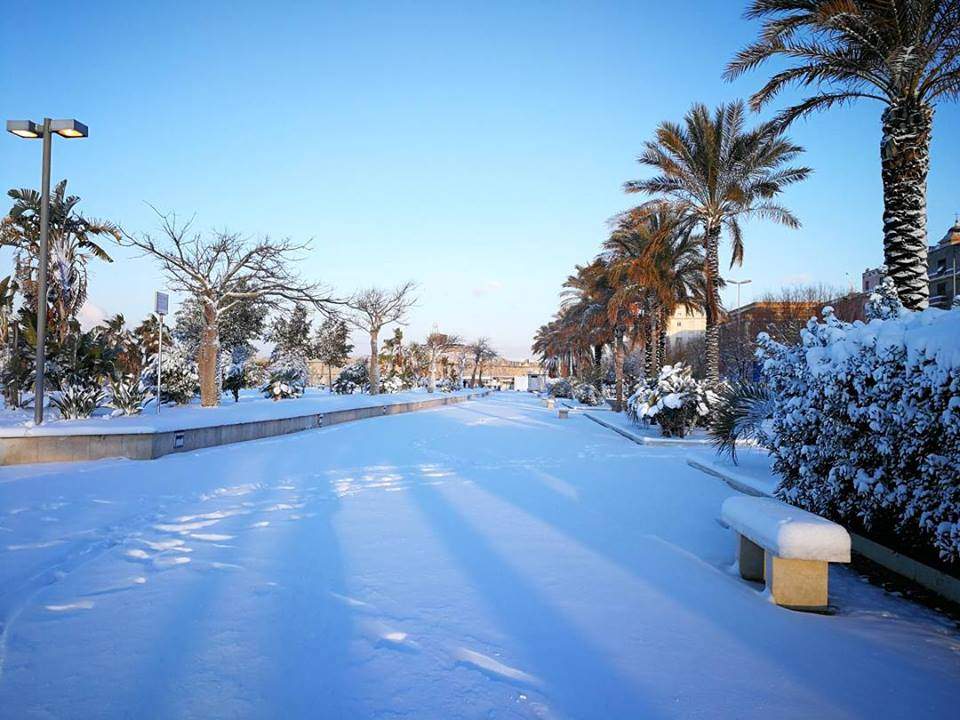 neve civitavecchia viale garibaldi
