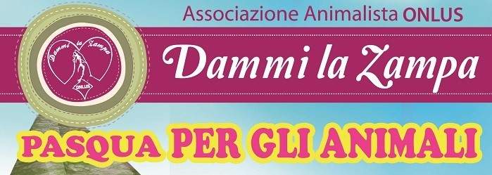 Uova 25 marzo e Gabbiano orizz