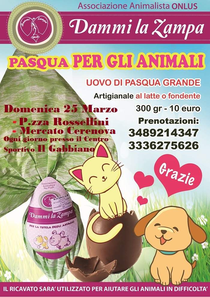 Uova 25 marzo e Gabbiano