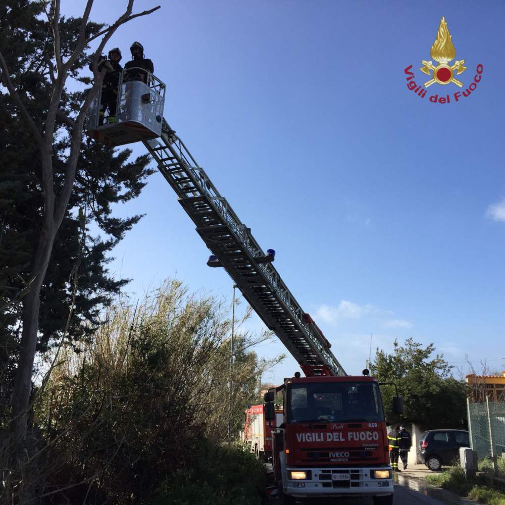 autoscala vvf pompieri vigili del fuoco 1