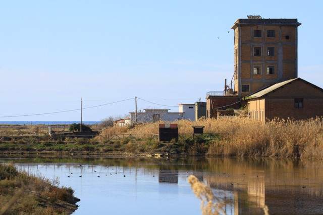 borgo saline tarquinia