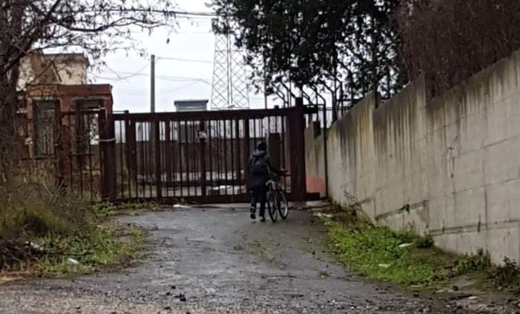 neri de carolis 1 neri de carolis