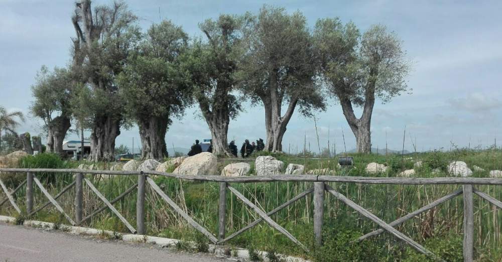 photo5996816729940011997