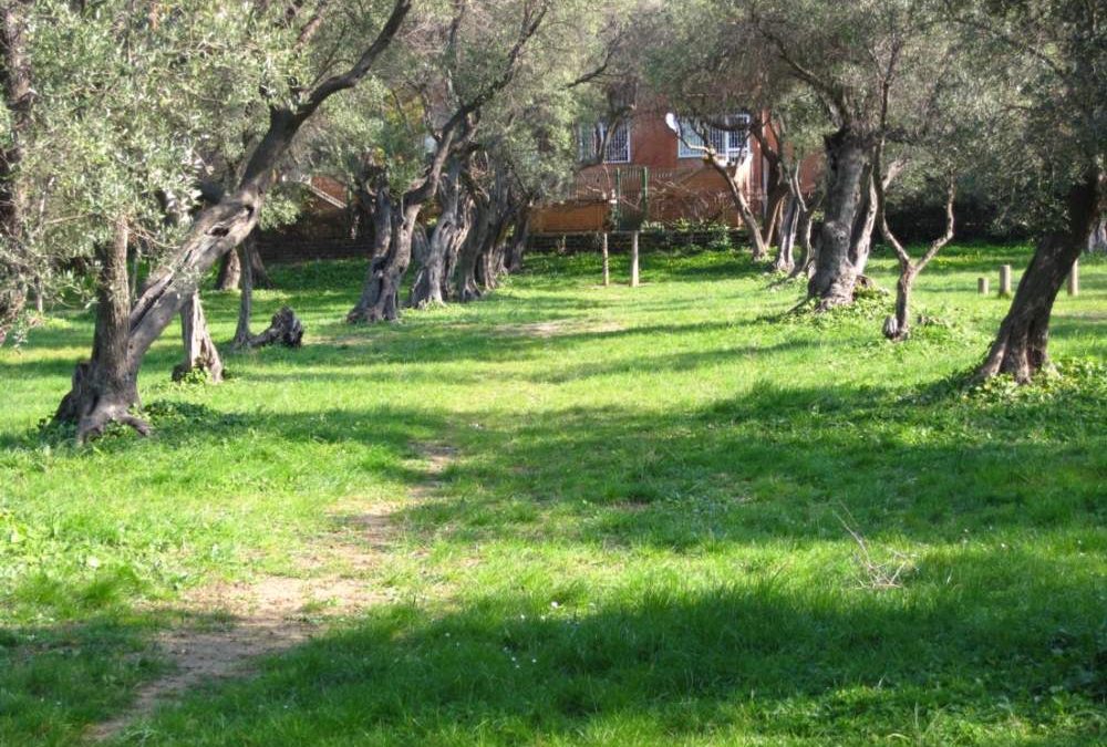 Estate a Civitavecchia, la Pro Loco propone la Festa della Musica all’Uliveto e la Lumacata al Ghetto