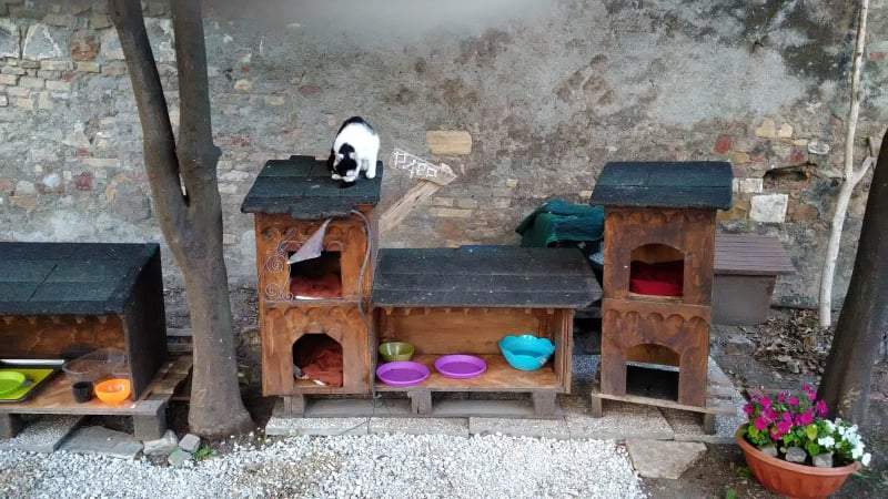 Il piccolo borgo degli Aristogatti