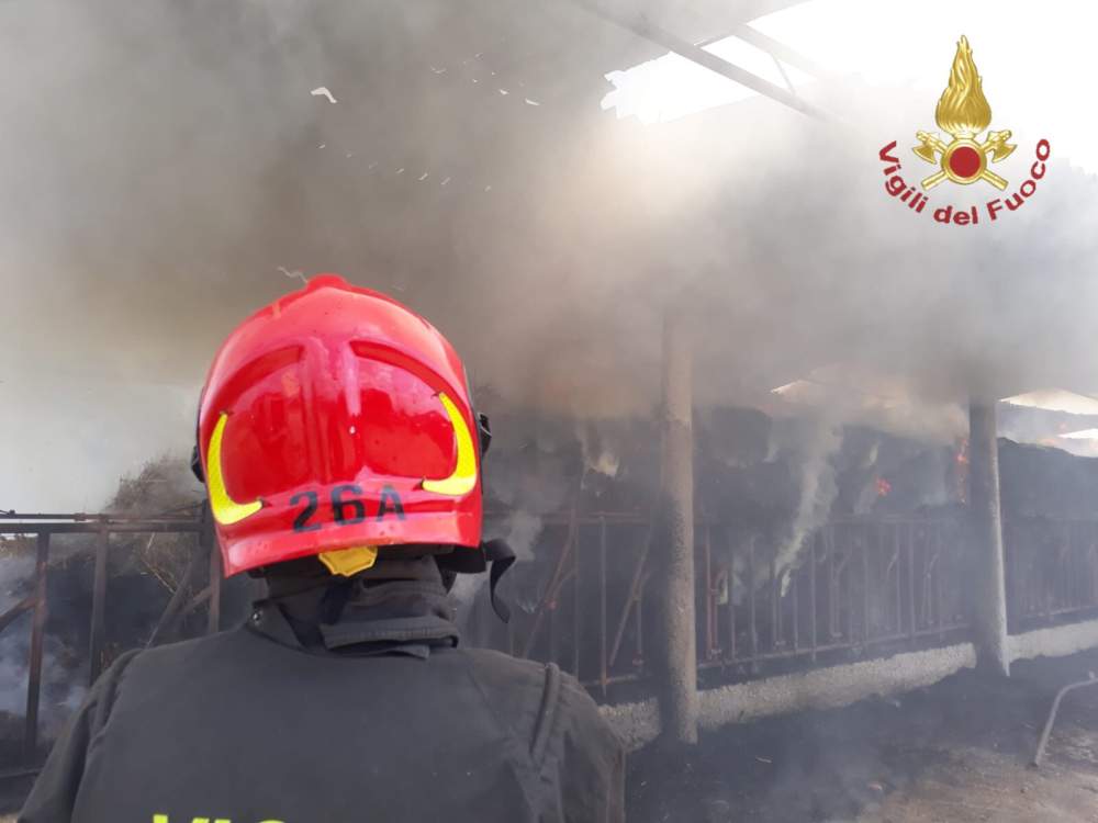 vvf vigili fuoco pompieri 26A
