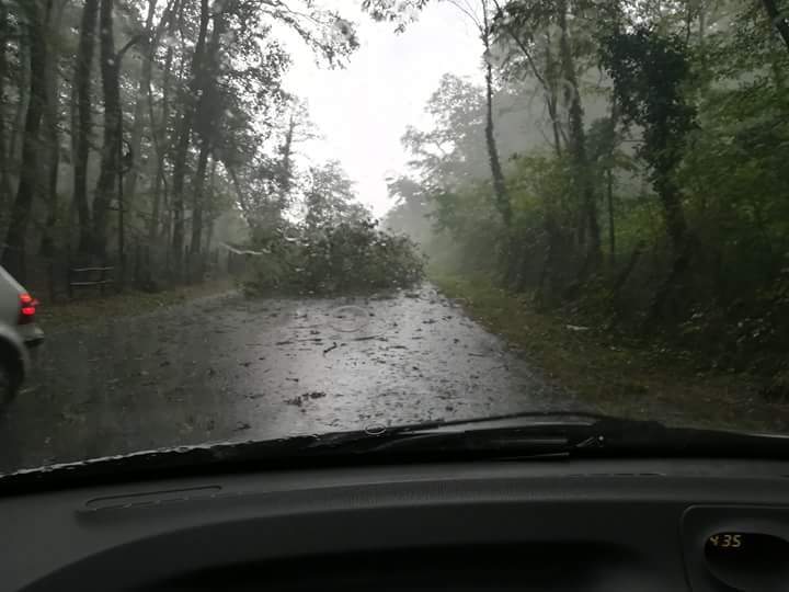 39572596_1812405158807404_2472659508925562880_n