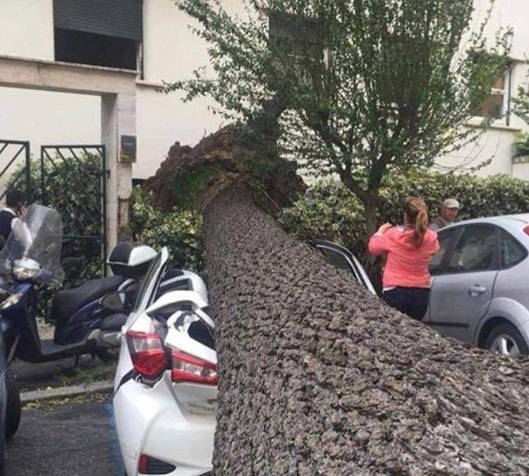 Vittime del maltempo: tre morti nel Lazio e uno in Campania