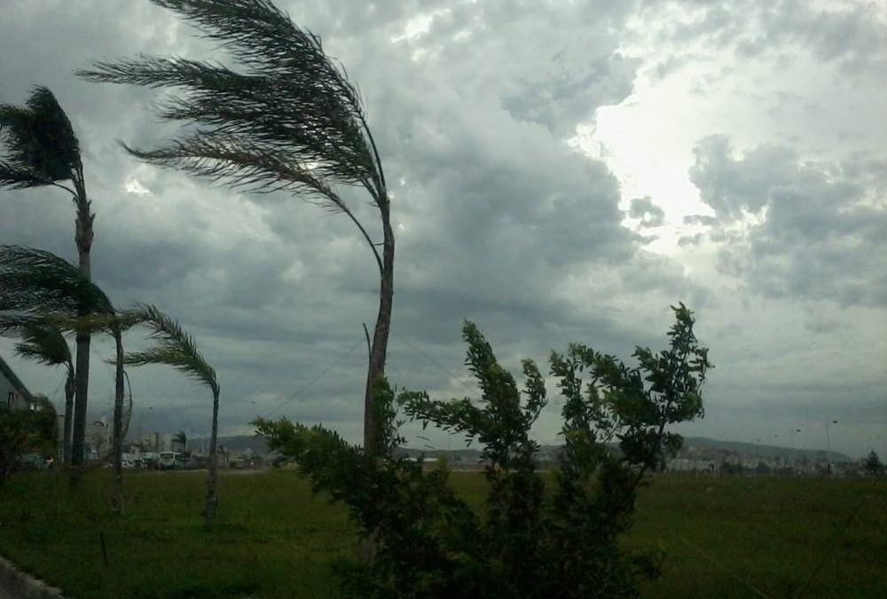 Allerta meteo per vento forte su tutta la Regione