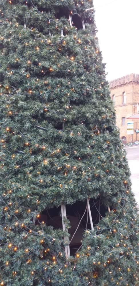Vandali albero natale Cerveteri