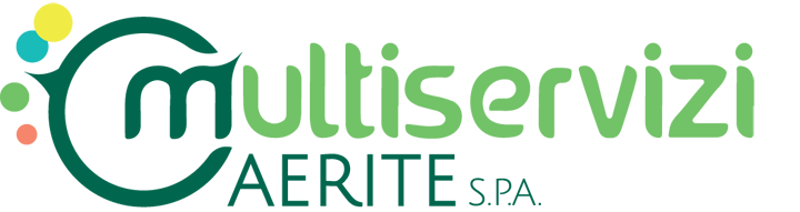 Logo Multiservizi Caerite