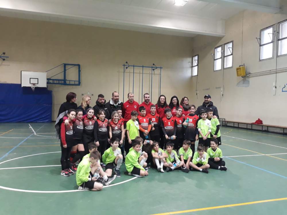 cv volley cv volley