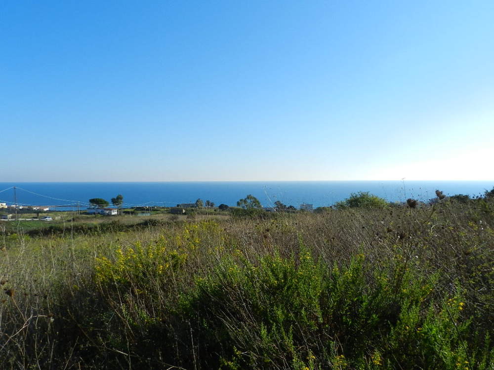 quartaccia santa marinella