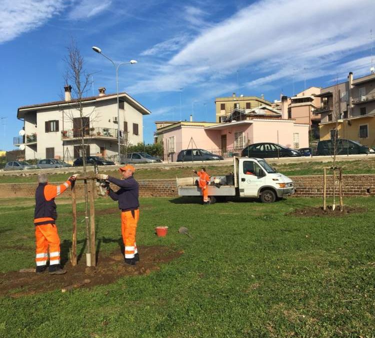 Cerveteri, la manutenzione settimanale del verde della Multiservizi Caerite